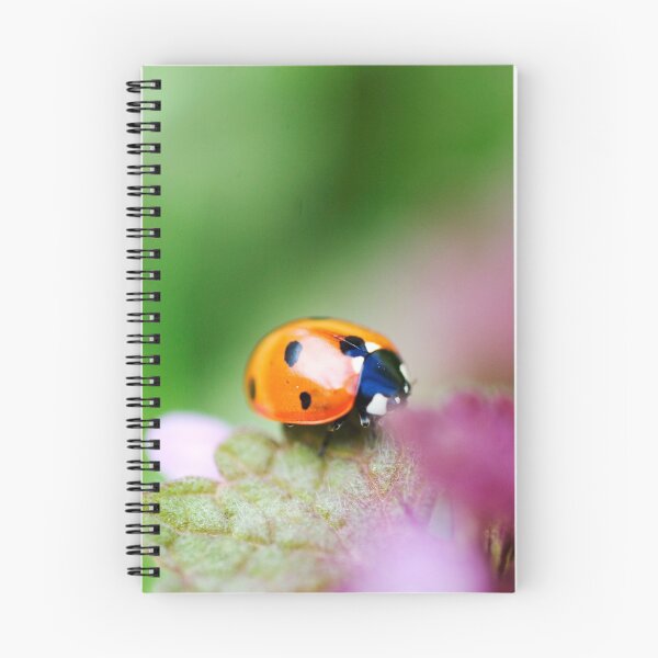 Item preview, Ladybird designed and sold by Katieshires.