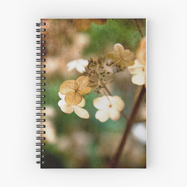 Item preview, Dried hydrangea designed and sold by Kasia Fiszer.
