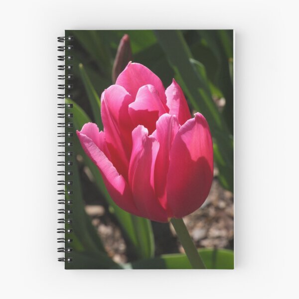Artikelvorschau, Sunkissed tulip entworfen und verkauft von Lauren Banks.