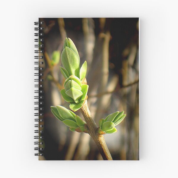 Item preview, Beautiful Green of Spring designed and sold by stephenralph.