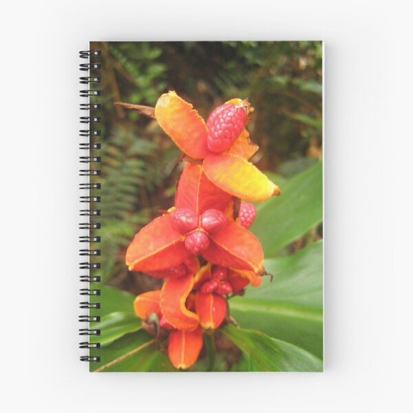 Item preview, Flower full of Fruit designed and sold by justineb.