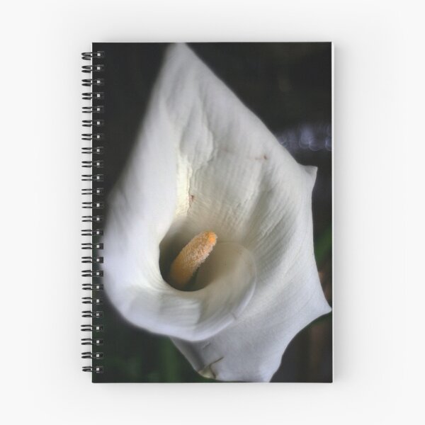 Item preview, Refloration designed and sold by Havoc.