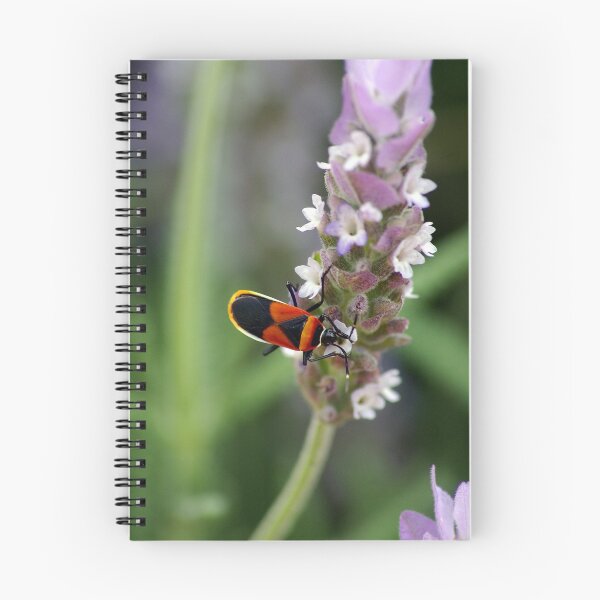 Item preview, Harlequin Beetle designed and sold by Mark Maloney.