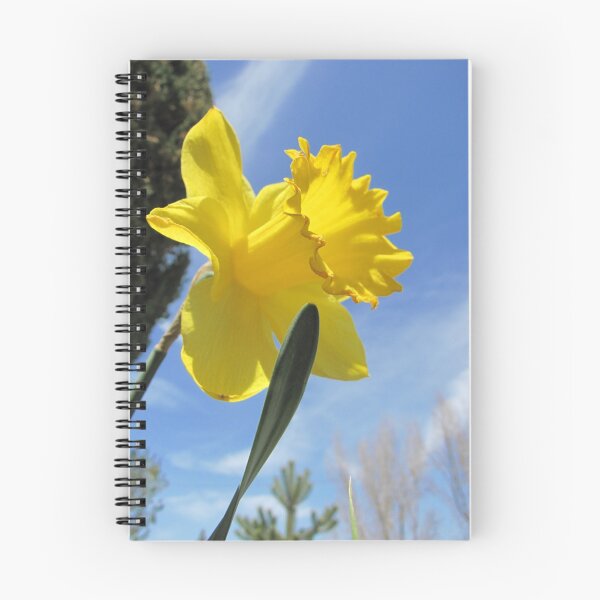 Item preview, Daffodil designed and sold by David D. Shaw.