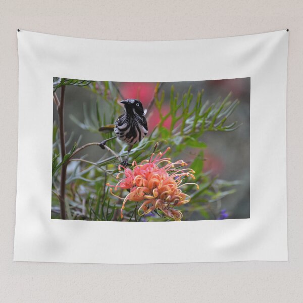 Item preview, New Holland Honeyeater and Grevillia designed and sold by CodyLaskeyPhoto.