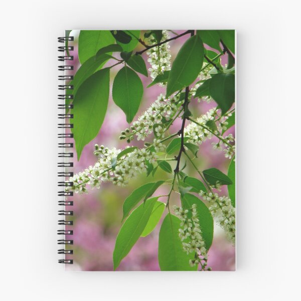 Item preview, Wild Cherry Tree Blossoms designed and sold by NatureGreeting Cards ©ccwri.