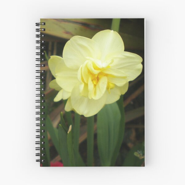 Item preview, Double Daffodil designed and sold by BarryNorton1.