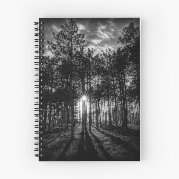 Item preview, Through the Trees designed and sold by JThill.