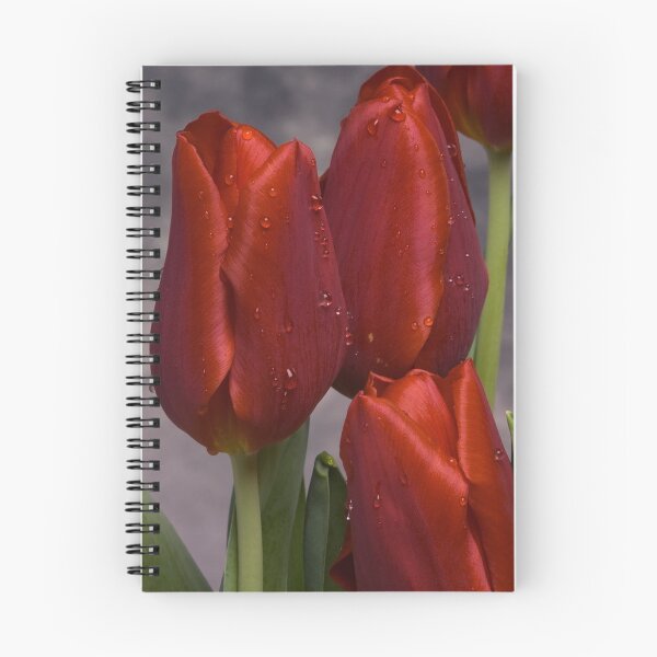 Item preview, Red Satin designed and sold by Jan Cartwright.