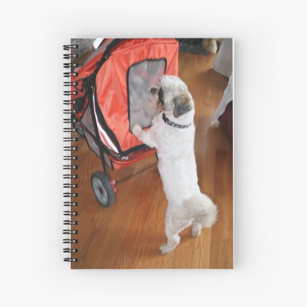 Gus going for a stroll Spiral Notebook