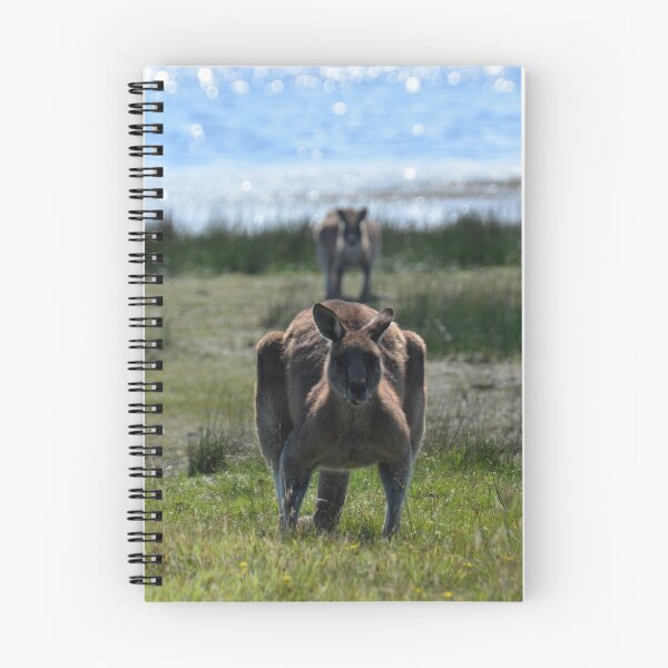 Item preview, Kangaroo Stare designed and sold by CodyLaskeyPhoto.
