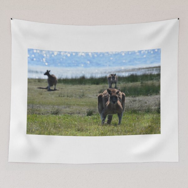 Item preview, Kangaroo Stare designed and sold by CodyLaskeyPhoto.