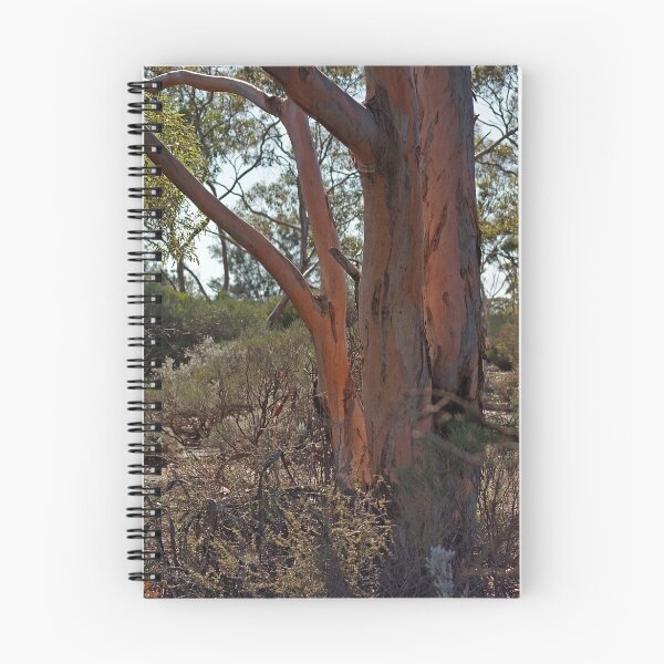 Item preview, Reflected Glow,Kalgoorlie.West Australia designed and sold by robynart.