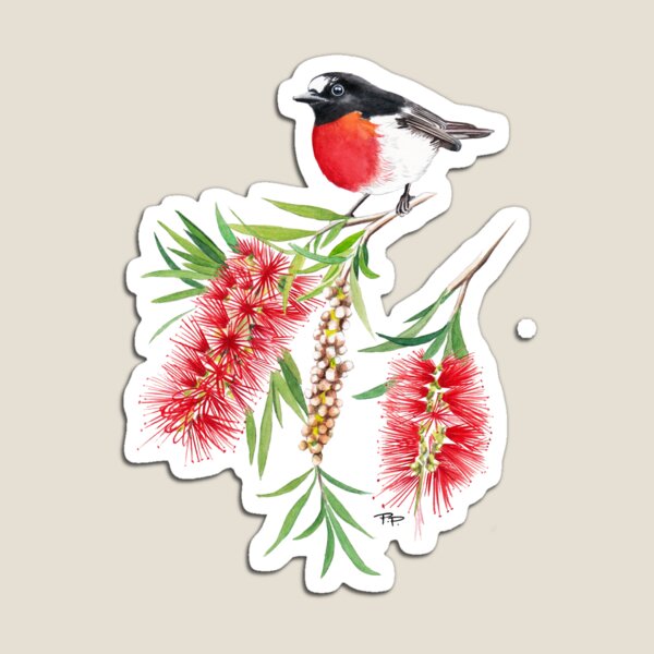 Scarlet Robin on Bottlebrush Flower Magnet