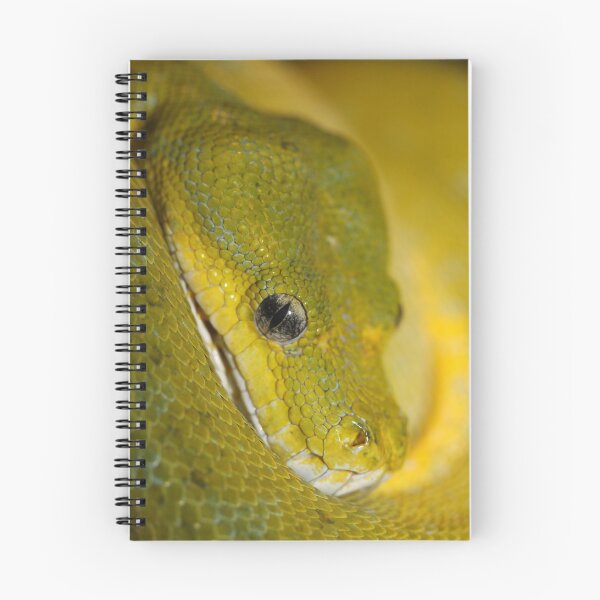 Item preview, Green Python designed and sold by Steve Bullock.