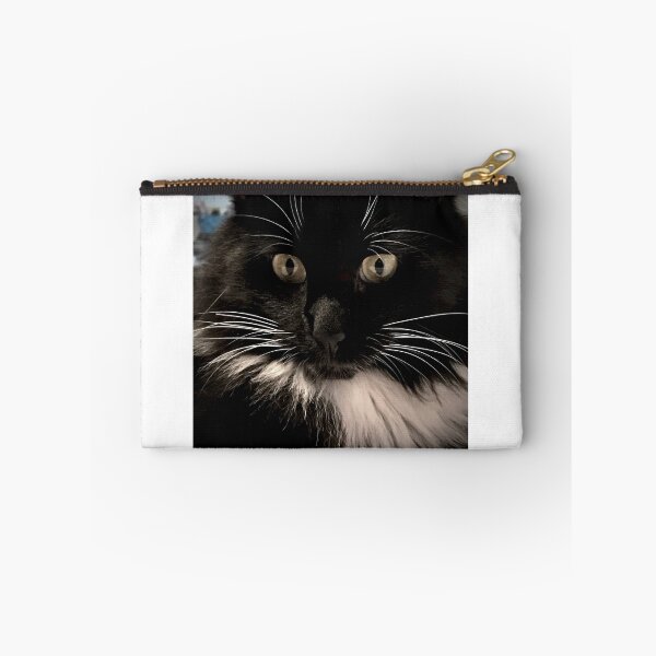 Item preview, ANGUS - the rescued shelter cat designed and sold by Kent Burton.
