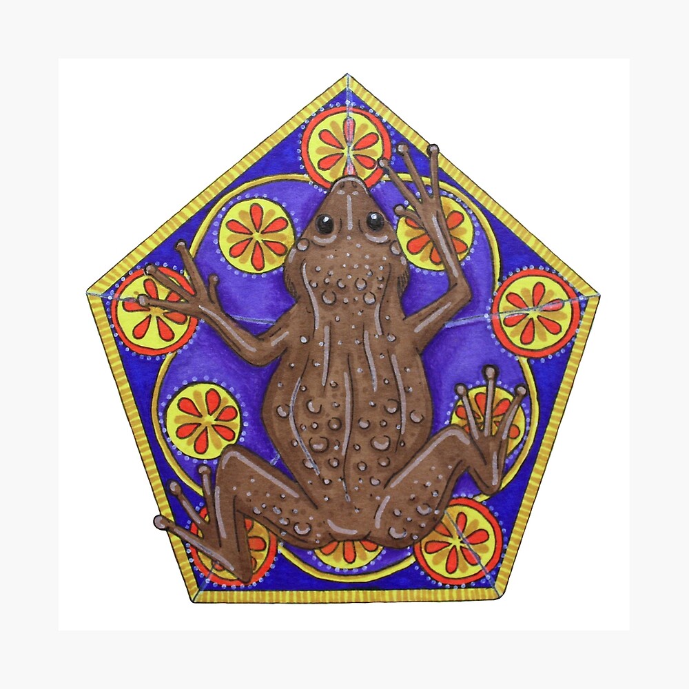 Chocolate Frog Metal Print By Sequinpalette Redbubble