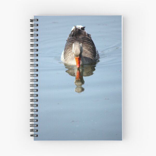 Item preview, Just reflecting  designed and sold by larry flewers.