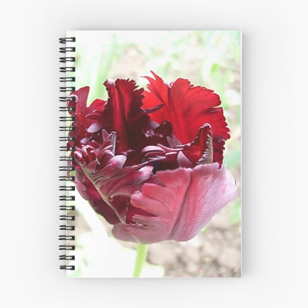 Item preview, Red tulip designed and sold by Ana Belaj.