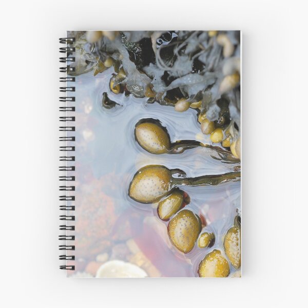 Item preview, Seaweed designed and sold by Lindamell.