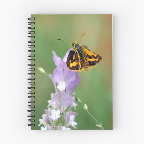 Artikelvorschau, Skipper Butterfly entworfen und verkauft von Mark Maloney.