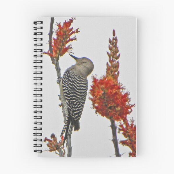 Item preview, Gila Woodpecker on Ocotillo designed and sold by gcampbell.