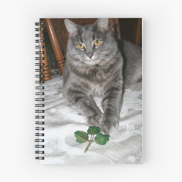 Item preview, Yes? designed and sold by Alexandra Wise-Brogna.