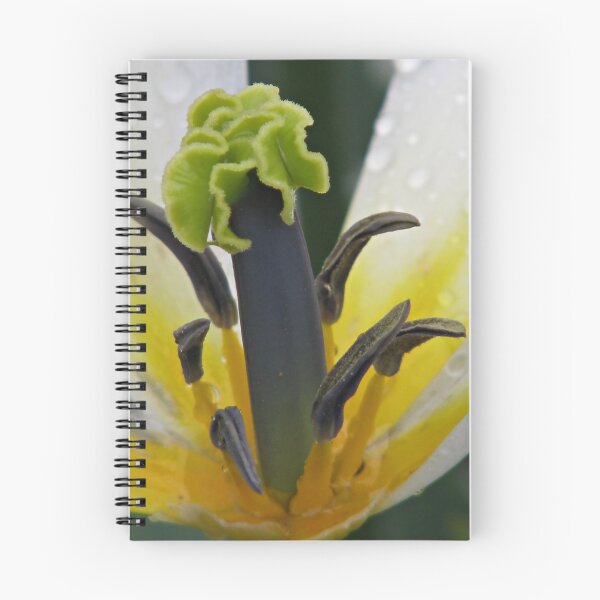 Item preview, A Little Stamina designed and sold by Kathy Yates.