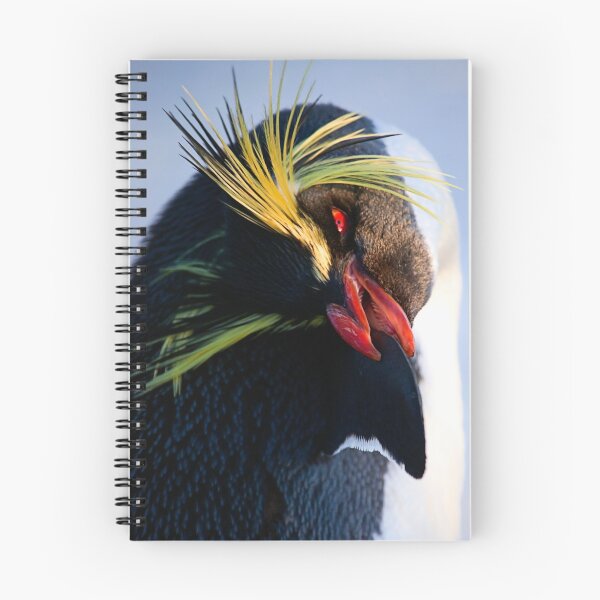 Item preview, Rockhopper designed and sold by Stuart Robertson Reynolds.