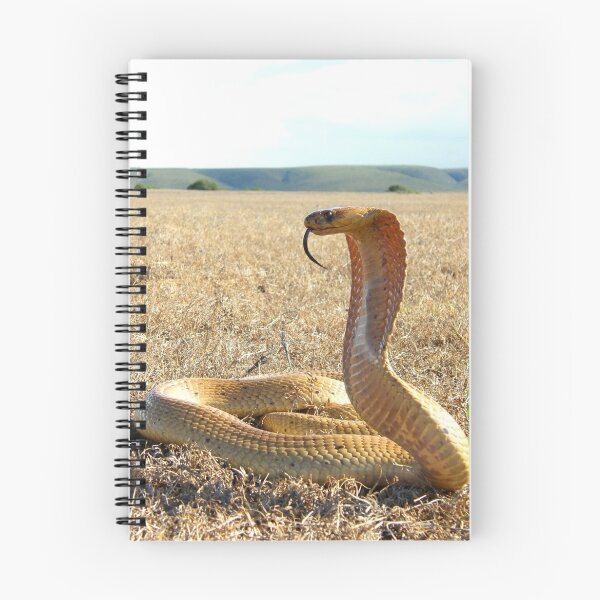 Item preview, Cape Cobra  designed and sold by Robbie Labanowski.
