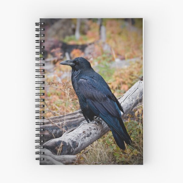 Item preview, Corvus corax - Yellowstone designed and sold by starsofglass.