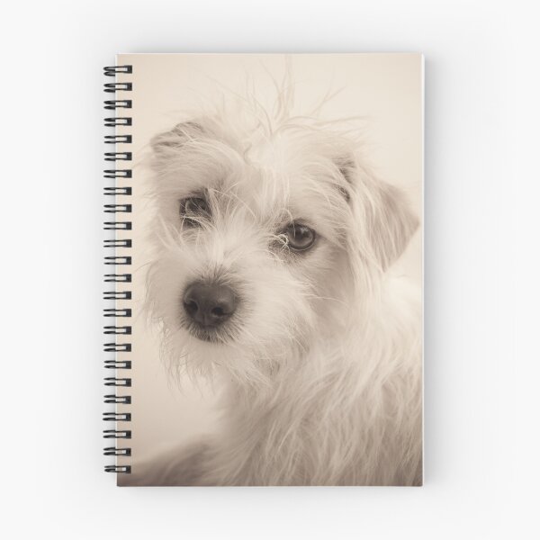 Item preview, Oscar designed and sold by LauraMcLean.
