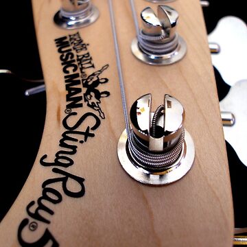 Artwork thumbnail, 5 String Bass by MaluC