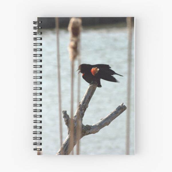 Item preview, A Complaining Red Wing...... designed and sold by Larry Llewellyn.