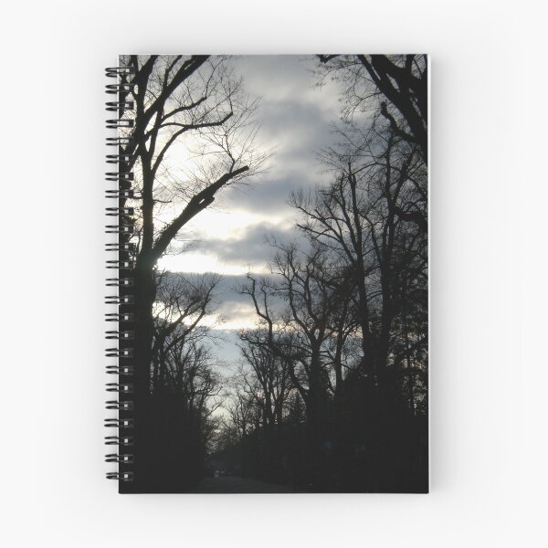 Item preview, Cemetery Mood designed and sold by Bettina  North.