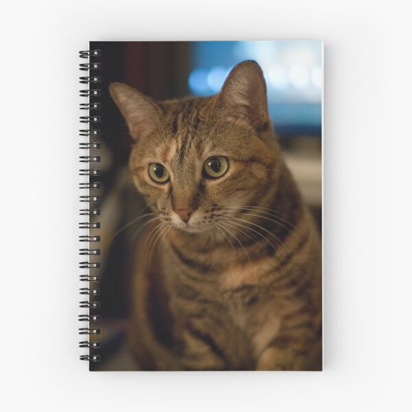 Item preview, My cat Beefcake!! designed and sold by Jimson Carr.
