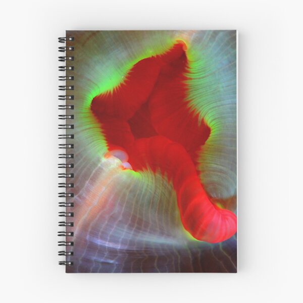 Item preview, Rocas rodantes designed and sold by Esteban  Toré.