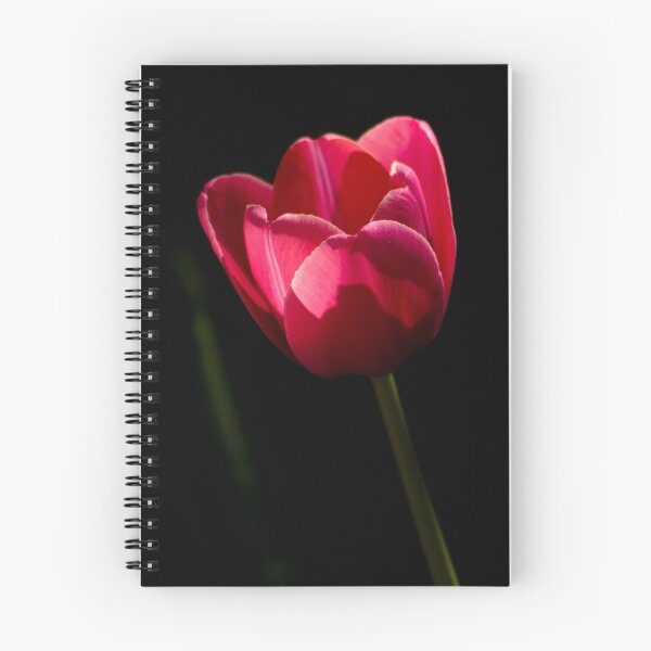 Item preview, Go Toward the Light designed and sold by Kory Trapane.
