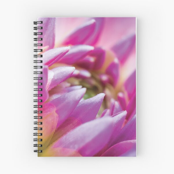 Item preview, pink crysanthemum designed and sold by DigiByDeb.