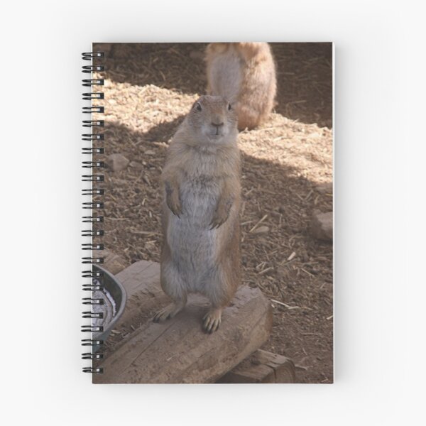 Item preview, Prairie Dog designed and sold by elisab.