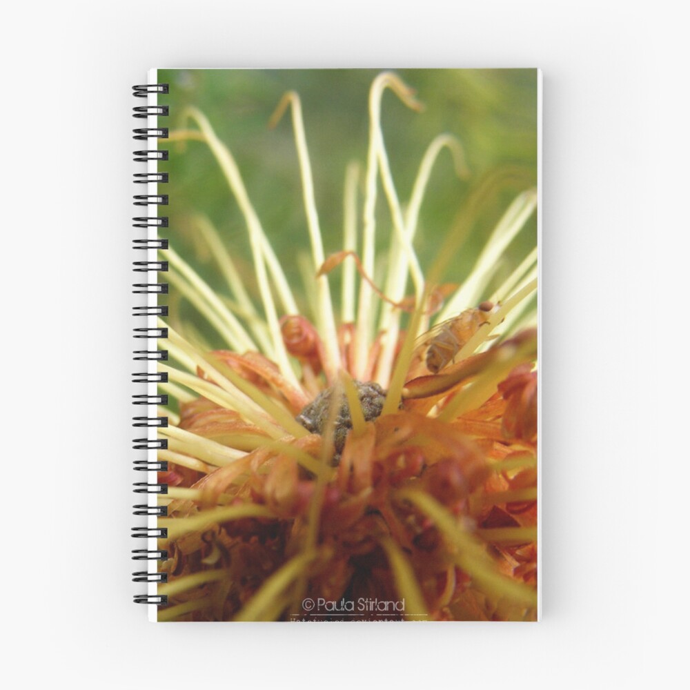 Item preview, Spiral Notebook designed and sold by Gozza.