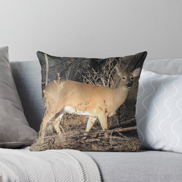Item preview, Mule Deer Doe designed and sold by annAHorton.