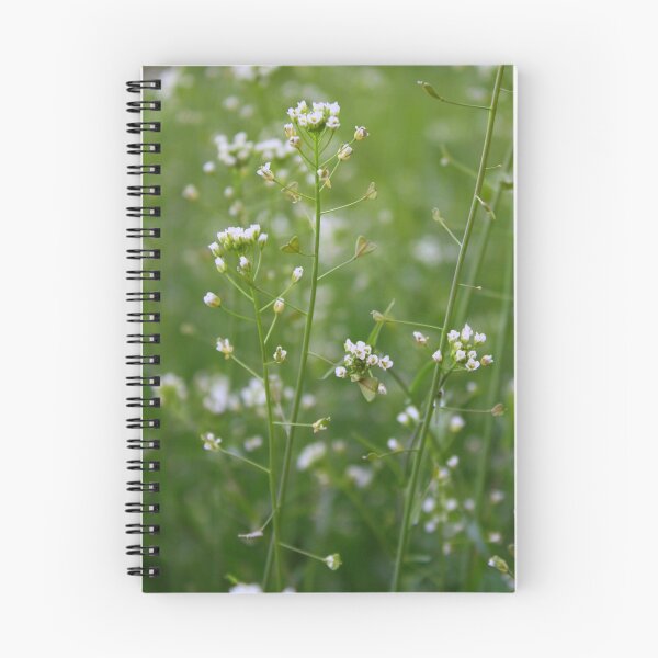 Item preview, Hello Spring designed and sold by Debbie Roelle.