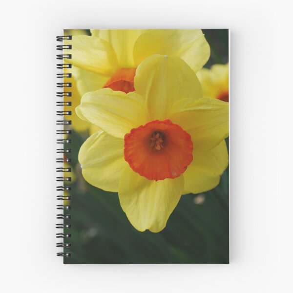 Item preview, Daffodil Delight designed and sold by Lozzar Flowers & Art.
