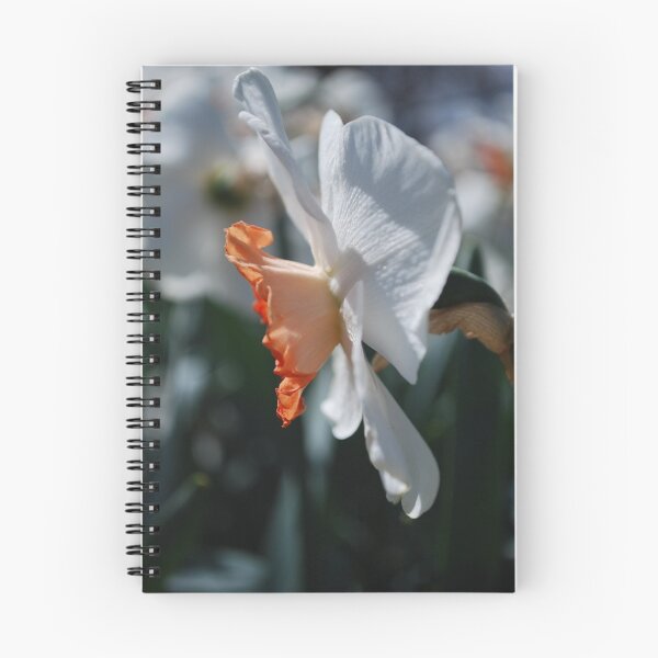 Item preview, Flutter designed and sold by Lozzar Flowers & Art.