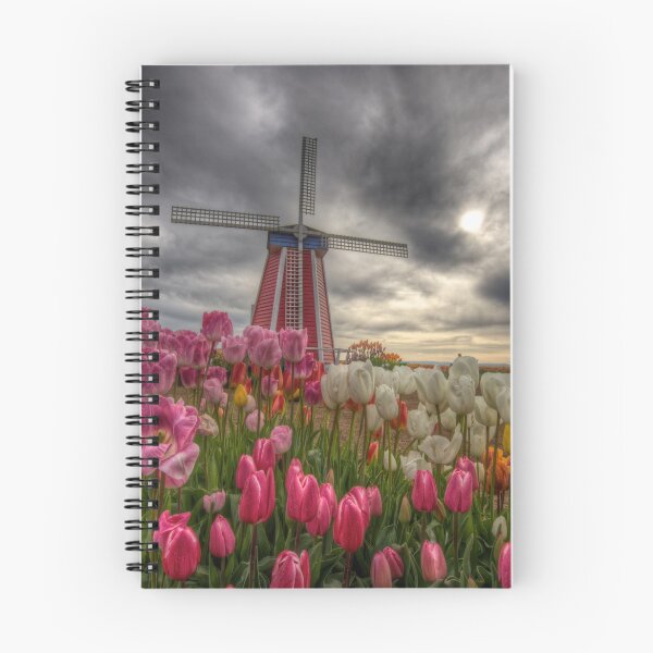 Aperçu de l'œuvre Tulip Festival créée et vendue par Deri Dority.