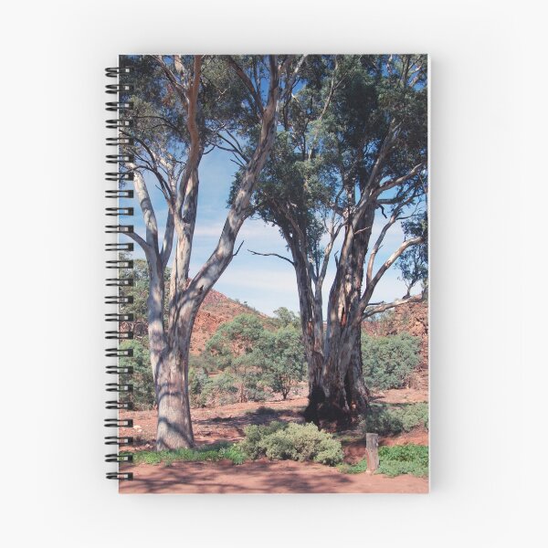 Item preview, Brachina Gorge, Flinders Ranges, South Australia designed and sold by Adrian Paul.