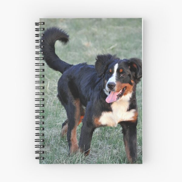 Aperçu de l'œuvre Berner Puppy Bo créée et vendue par SamTheCowdog.