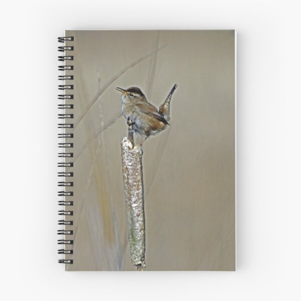 Item preview, Marsh Wren Sings Out it’s Song  designed and sold by Chuck Gardner.
