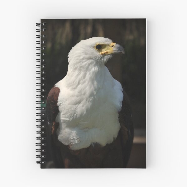 Item preview, African Fish Eagle designed and sold by swhite99.